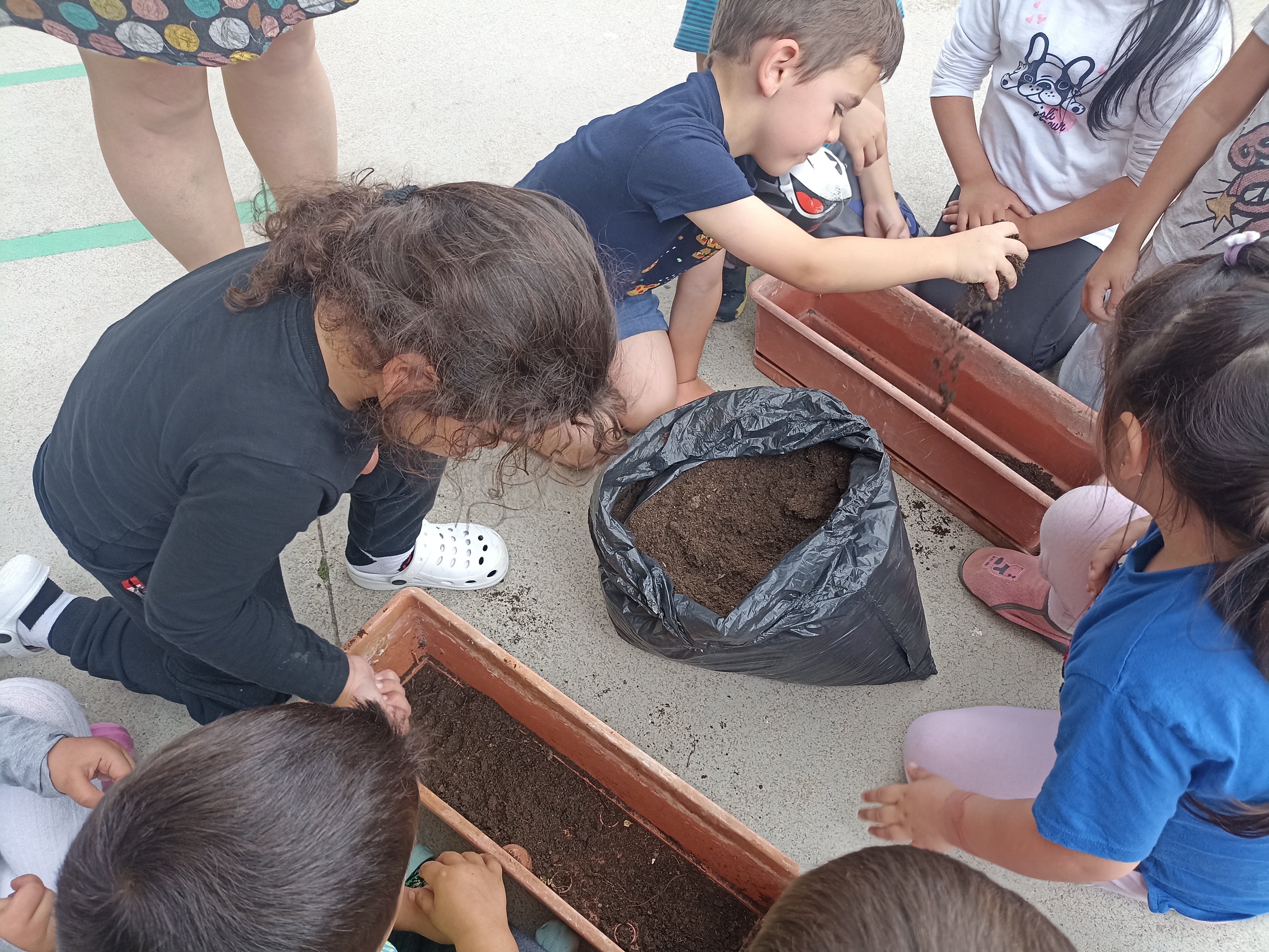 🍓Plantamos fresas en el colegio🍓